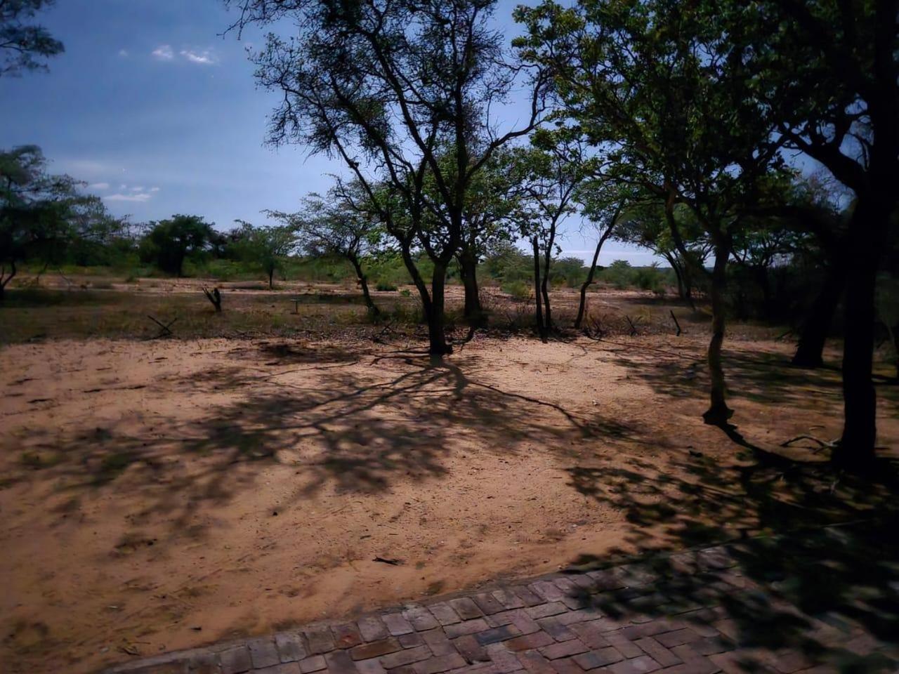 Kigeni Safari Lodge & Spa Vaalwater Exterior foto