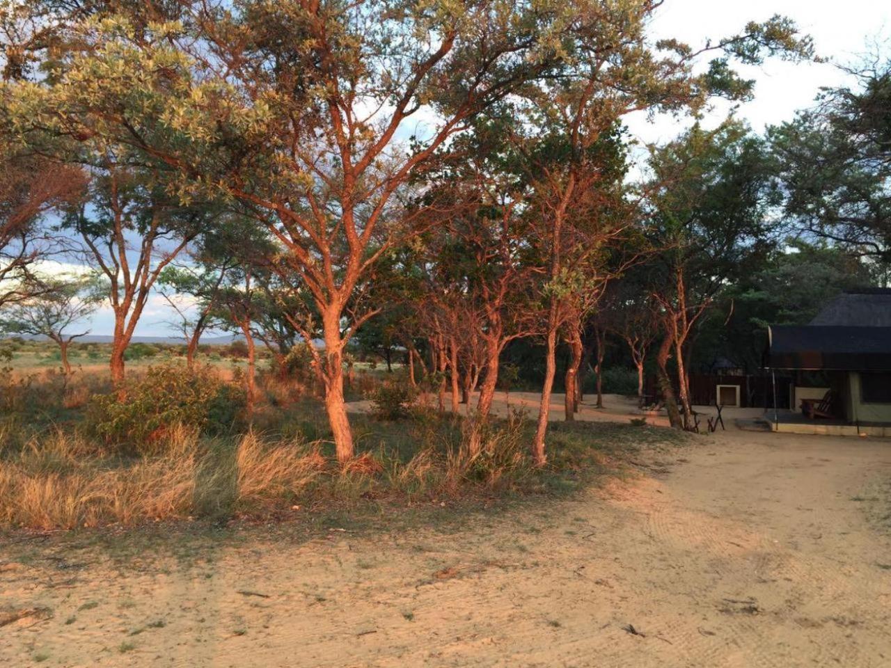 Kigeni Safari Lodge & Spa Vaalwater Exterior foto